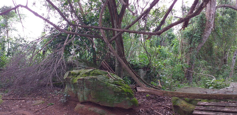 Ricarddo Barros Guerreiro