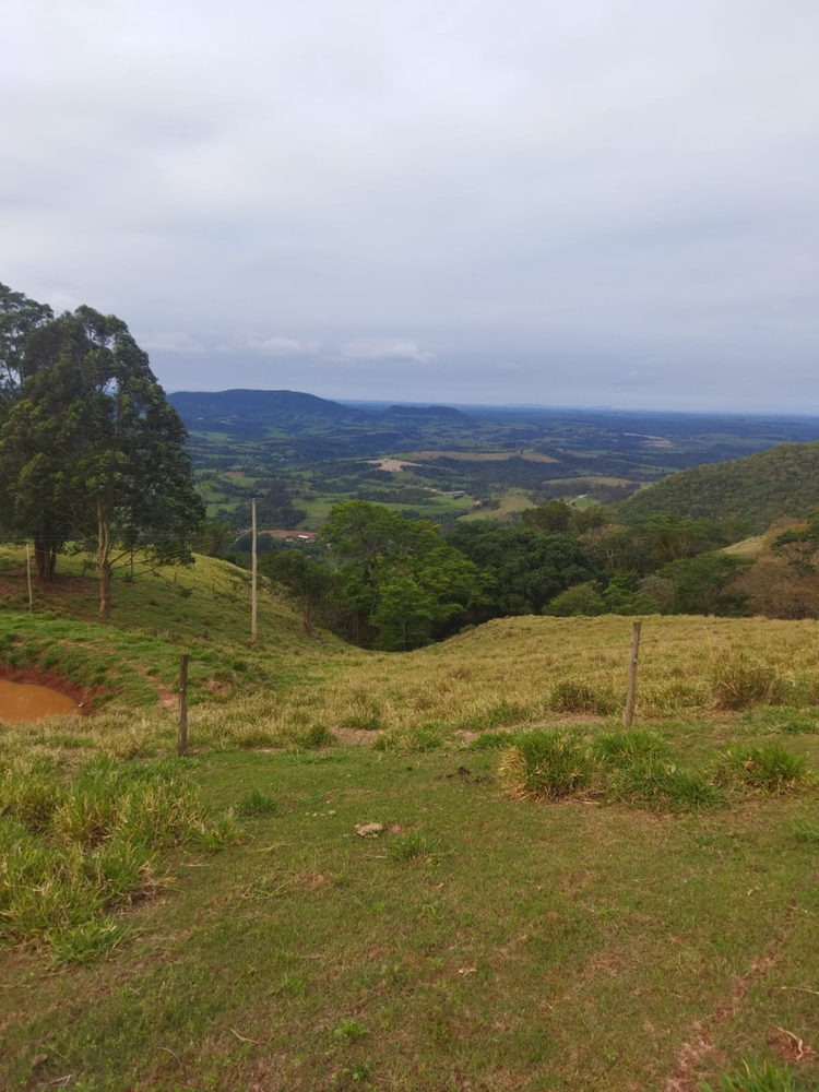 Ricarddo Barros Guerreiro