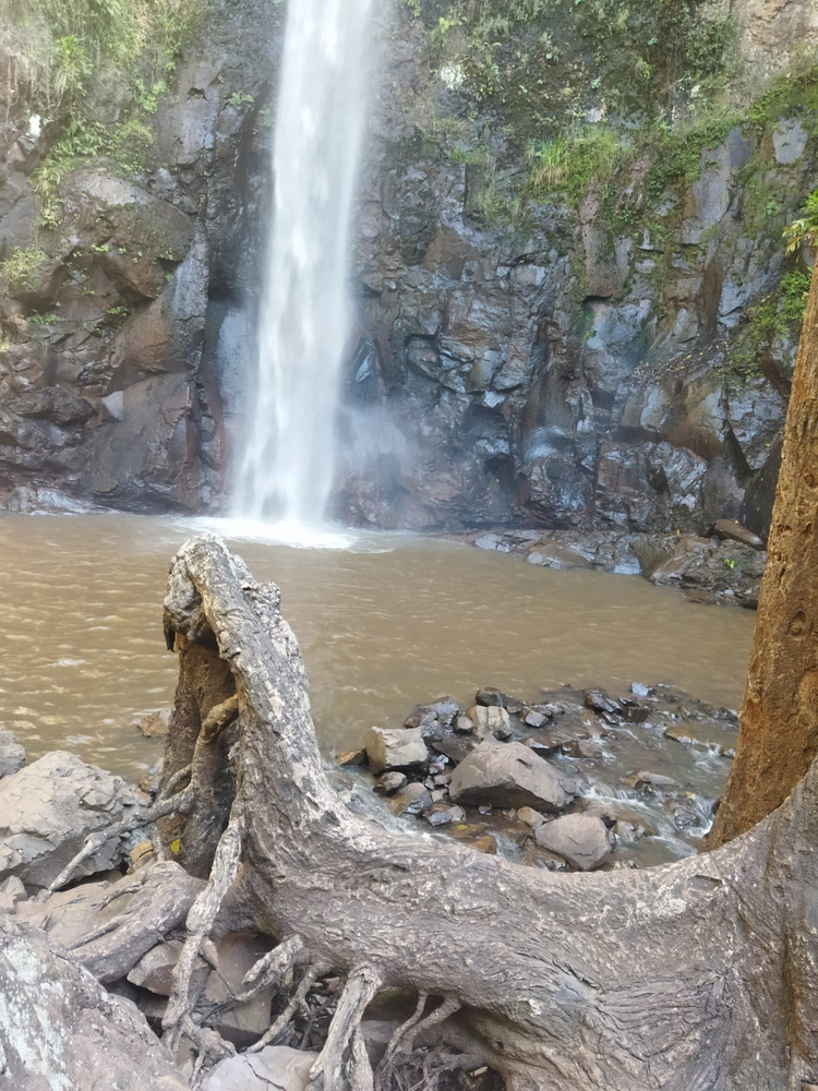 Ricarddo Barros Guerreiro