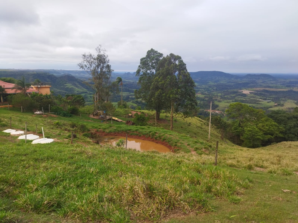 Ricarddo Barros Guerreiro