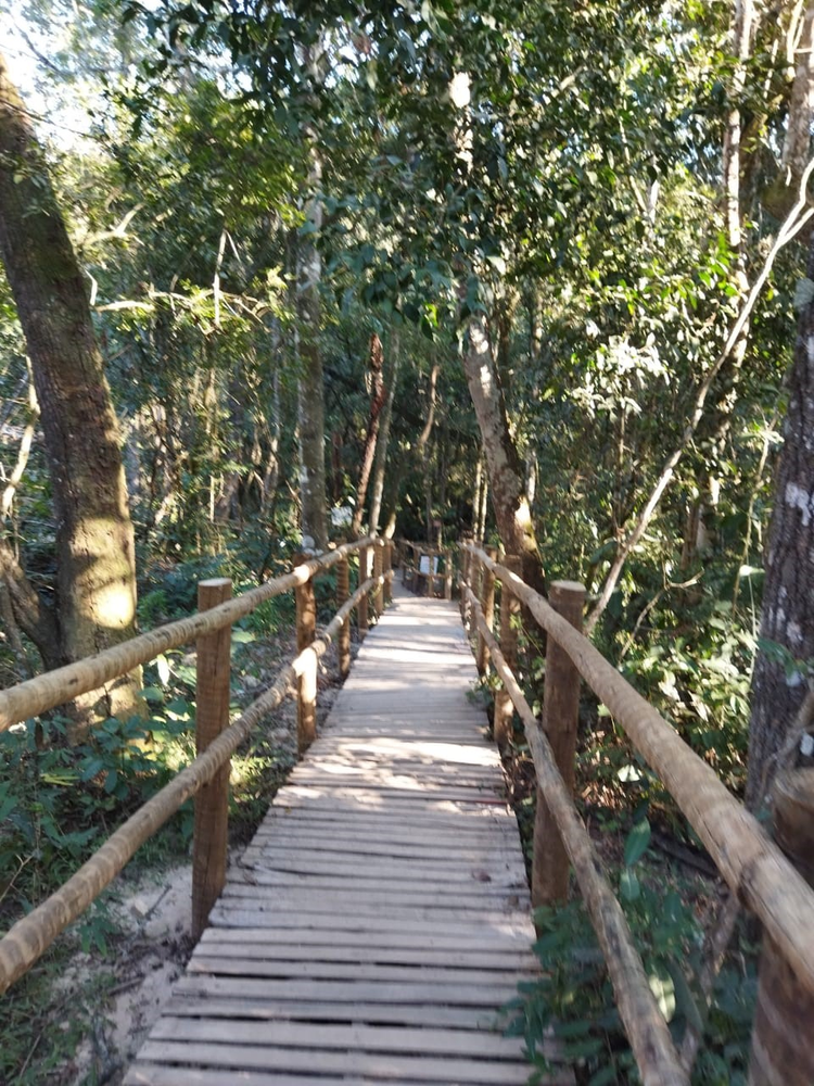 Ricarddo Barros Guerreiro