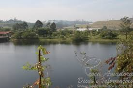 Ricarddo Barros Guerreiro