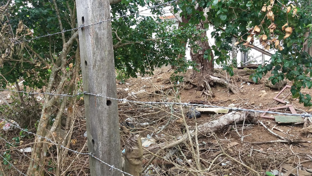 Ricarddo Barros Guerreiro