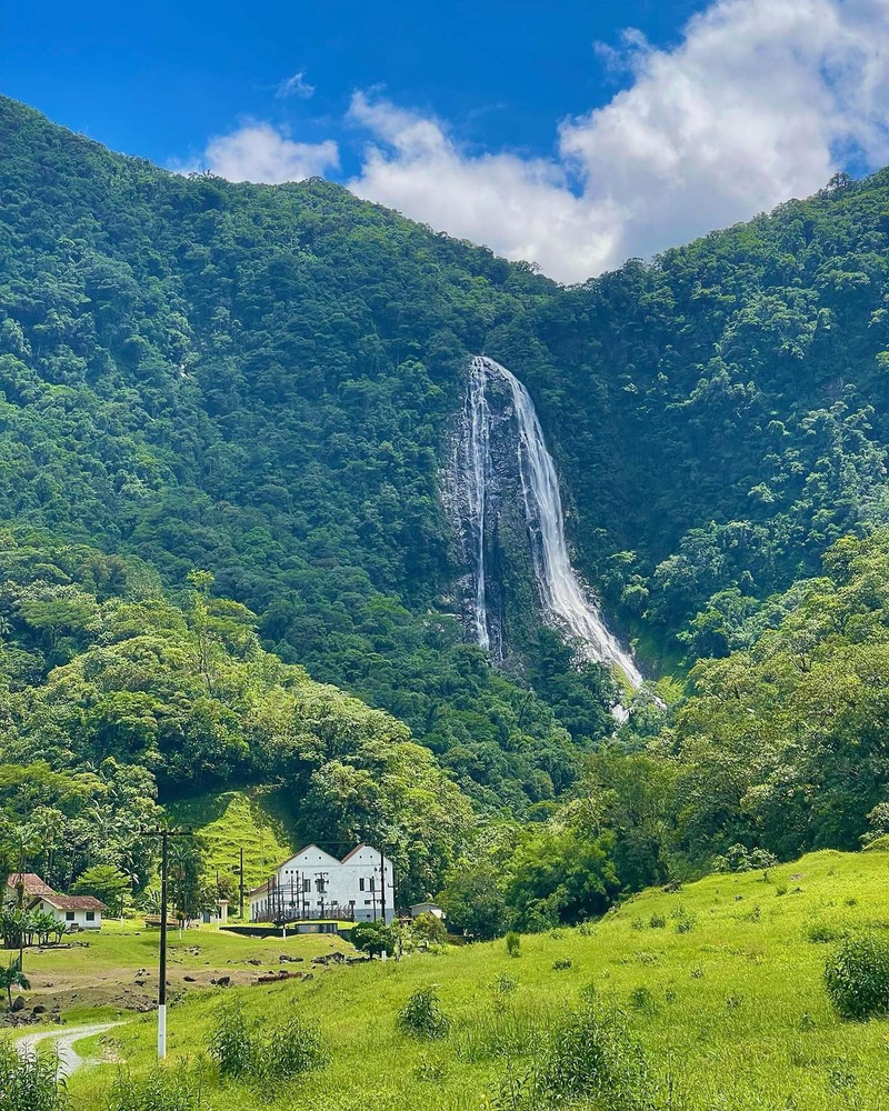 Ricarddo Barros Guerreiro