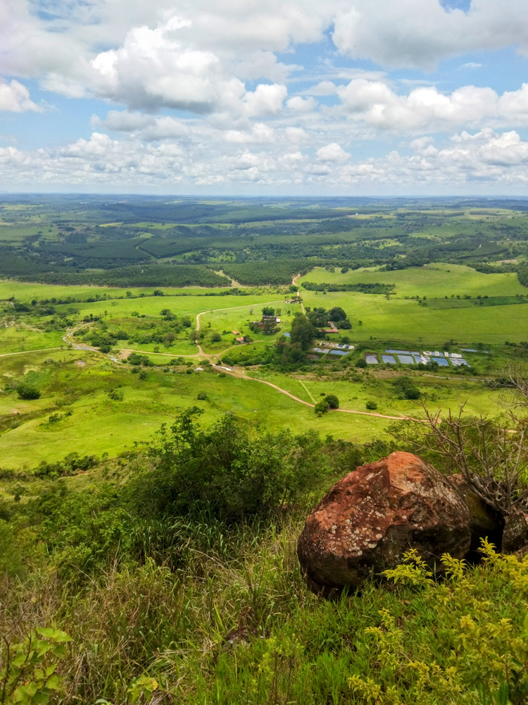 Ricarddo Barros Guerreiro