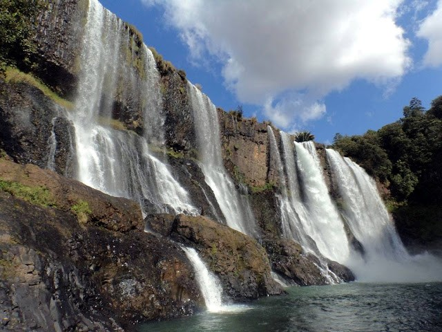 Ricarddo Barros Guerreiro