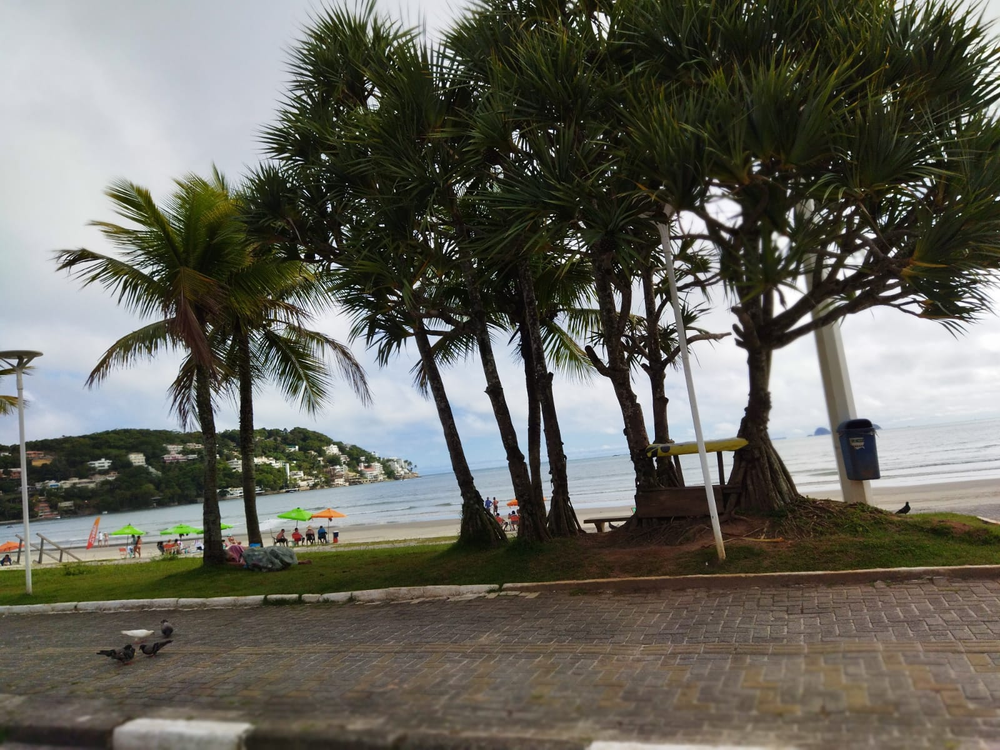 Ricarddo Barros Guerreiro