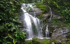 Ricarddo Barros Guerreiro