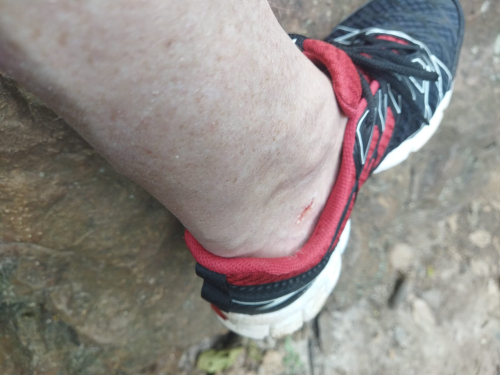 Ricarddo Barros Guerreiro