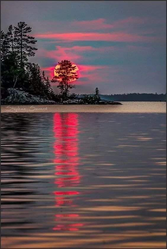 Ricarddo Barros Guerreiro