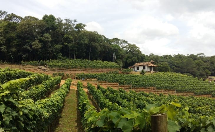 Ricarddo Barros Guerreiro