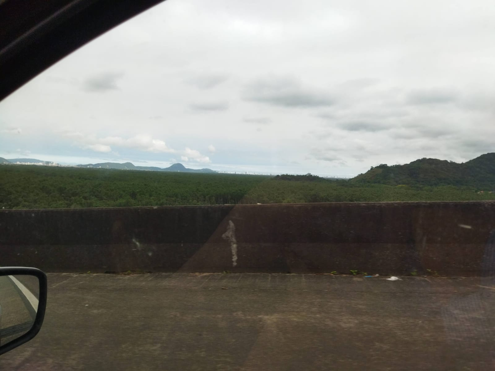 Ricarddo Barros Guerreiro