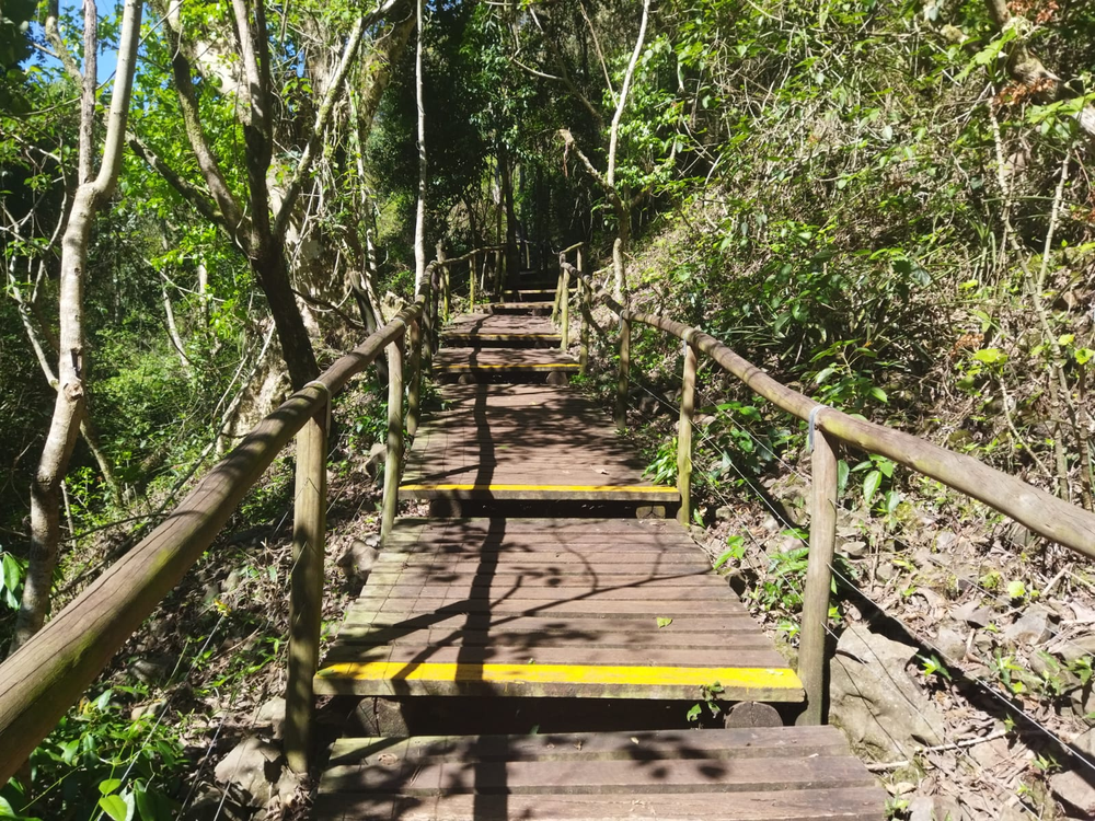 Ricarddo Barros Guerreiro