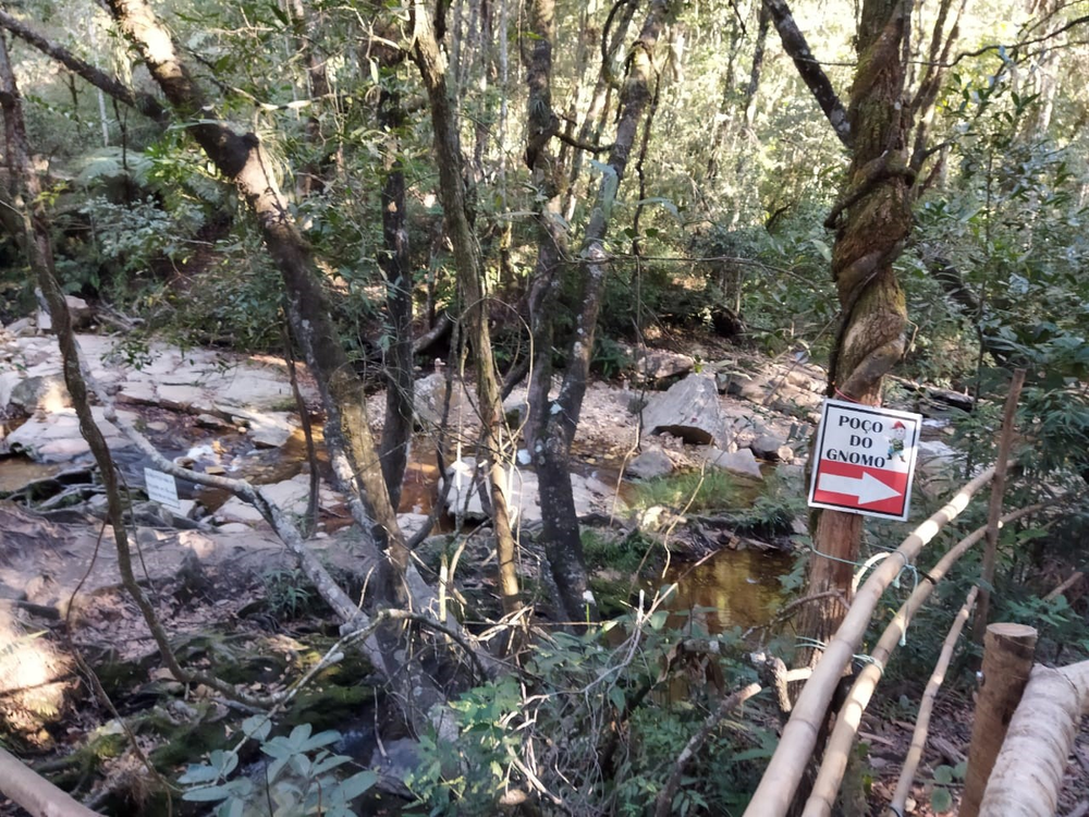 Ricarddo Barros Guerreiro