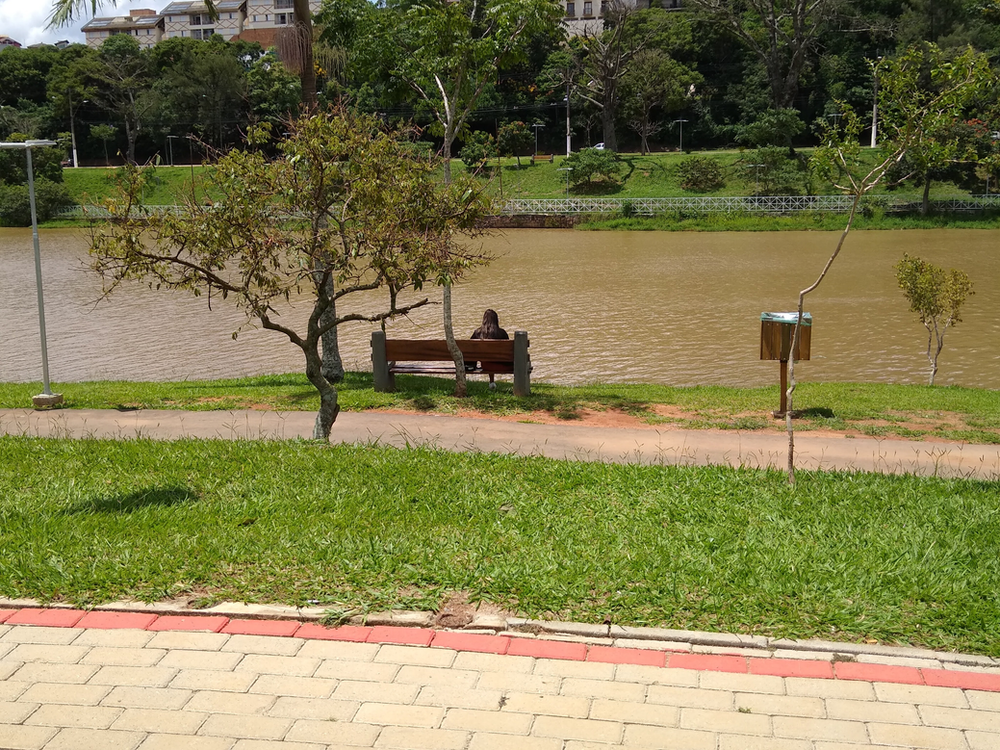 Ricarddo Barros Guerreiro