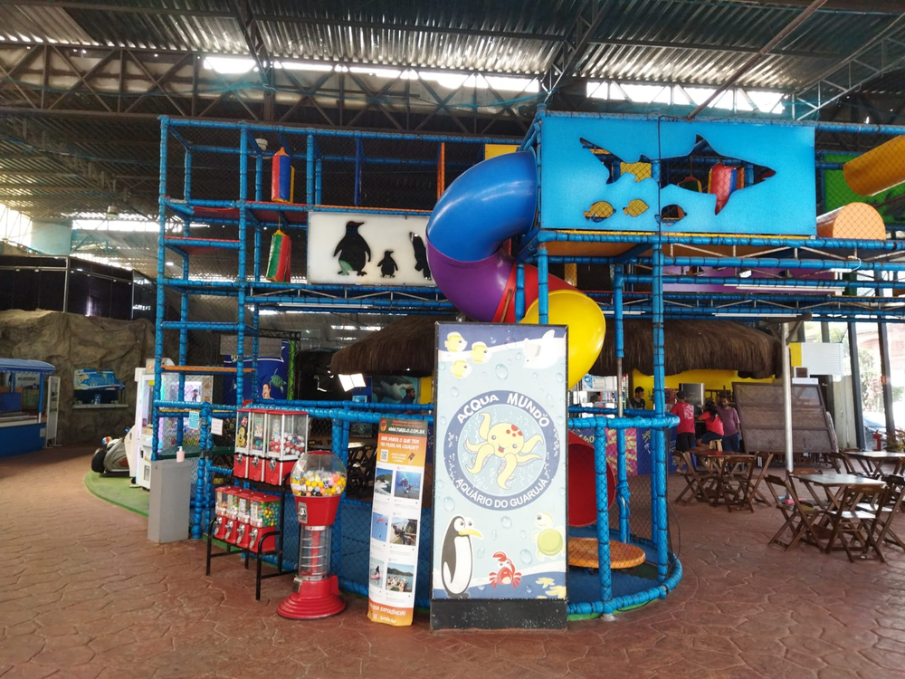 Ricarddo Barros Guerreiro