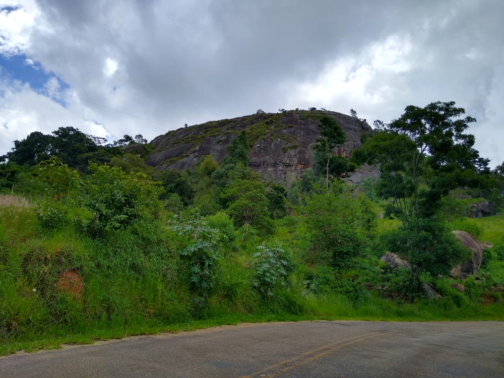 Ricarddo Barros Guerreiro