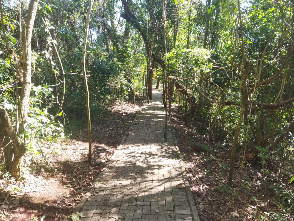 Ricarddo Barros Guerreiro