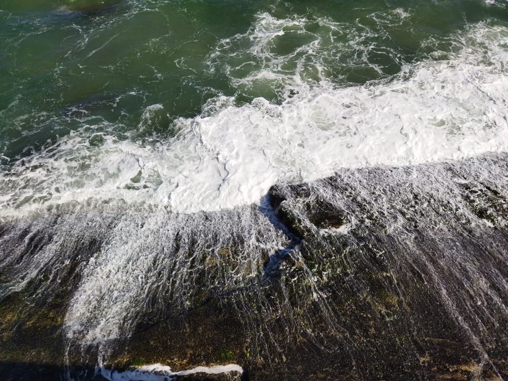 Ricarddo Barros Guerreiro