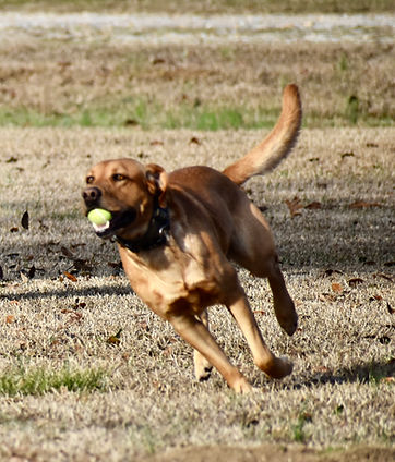 DSC_0071.jpeg