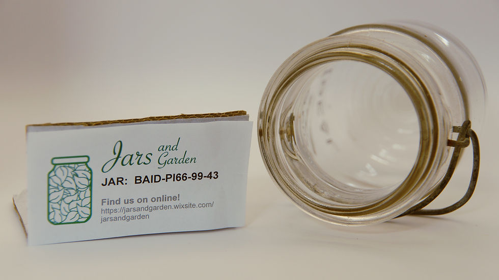 Thumbnail: Ball Ideal Pint Mason Jar