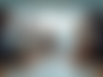 Strategies for Organizational Improvement Success