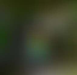 【先行予約販売受付中】Voicecaddie T12PRO 11月12日発売決定！