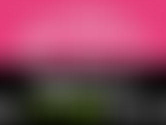 NOBUTA GROUP マスターズGC レディース出店！プレゼントキャンペーン