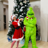 Christmas Holiday Characters Grinch Santa Helper Elf