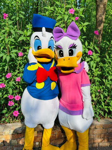 Donald Duck Daisy Duck for Hire