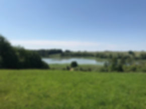 IMG_4446.jpeg