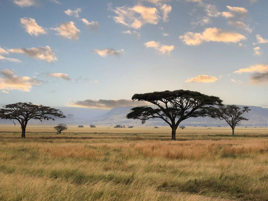 Serengeti Nasjonalpark Høydepunkter