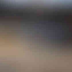 CalfExpert: Drikkeautomat