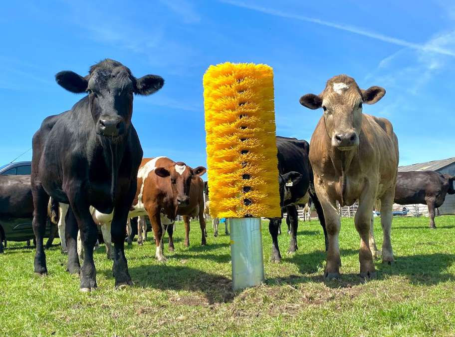 EasySwing Mini Totem – kompakt kløbørste for kalver, føll og geiter