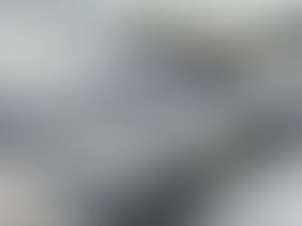 Using dummy panels in a shed – when function meets aesthetics