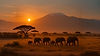 africa04.jpg