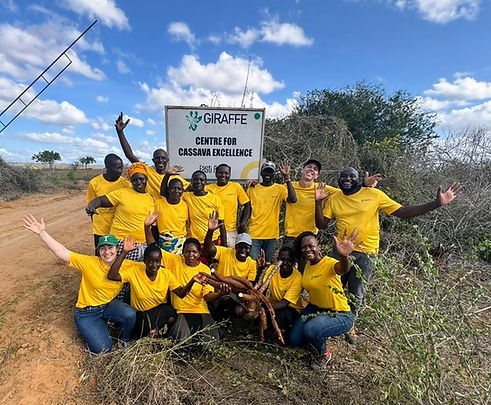 A photo of the Giraffe Bioenergy staff holding a cassava in front of a sign saying "Giraffe Bioenergy, Centre for Cassava Excellence"