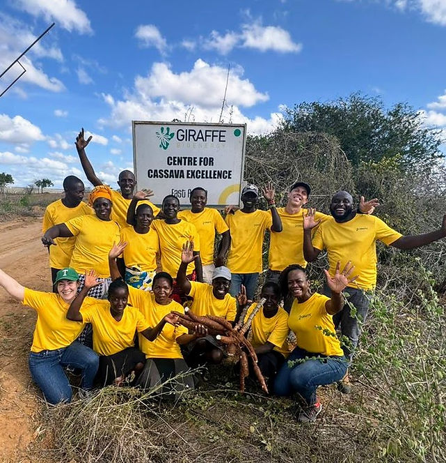 A photo of the Giraffe Bioenergy staff holding a cassava in front of a sign saying "Giraffe Bioenergy, Centre for Cassava Excellence"
