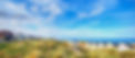 IMG_3702.jpeg