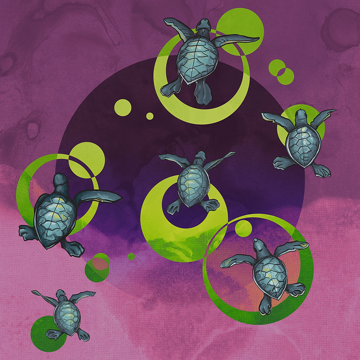 TURTLES.jpg