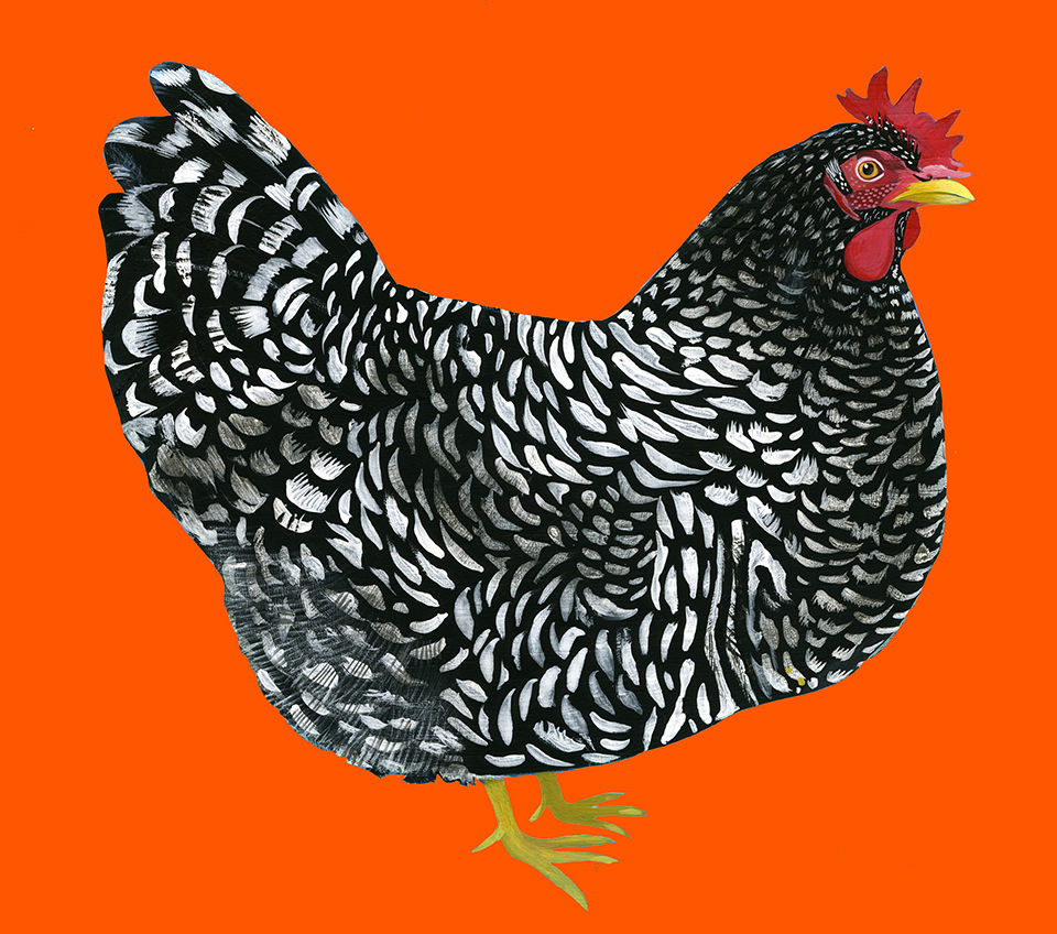Thumbnail: Rosa the Chicken Print