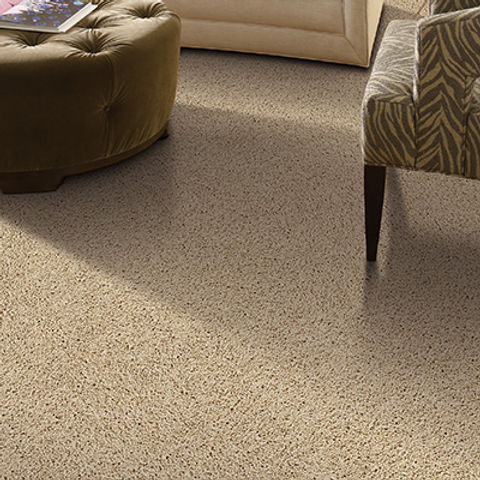 texture-carpet-tile2.jpg