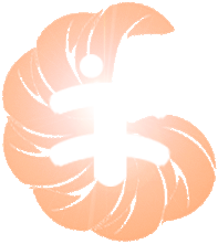 sakura Leaf 04 Orange2(ト02)逆光.gif