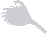 Titmouse Flying002R-W165