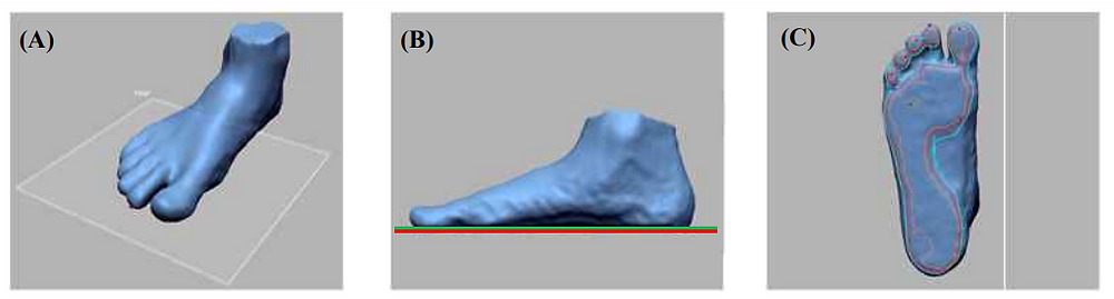 Plantar Ridge Pattern Analysis of Plantar Contours and Derivation of Design Baseline for the ...