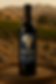 ChatGPT Image Jul 2, 2025, 08_50_49 PM.png