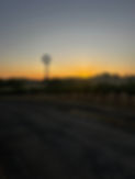 IMG_1288.JPEG