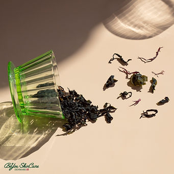USED_Seaweed-for-Skin-4794-1x1-hires-ec18671c73fe445bad07a718eaeb8876.jpeg