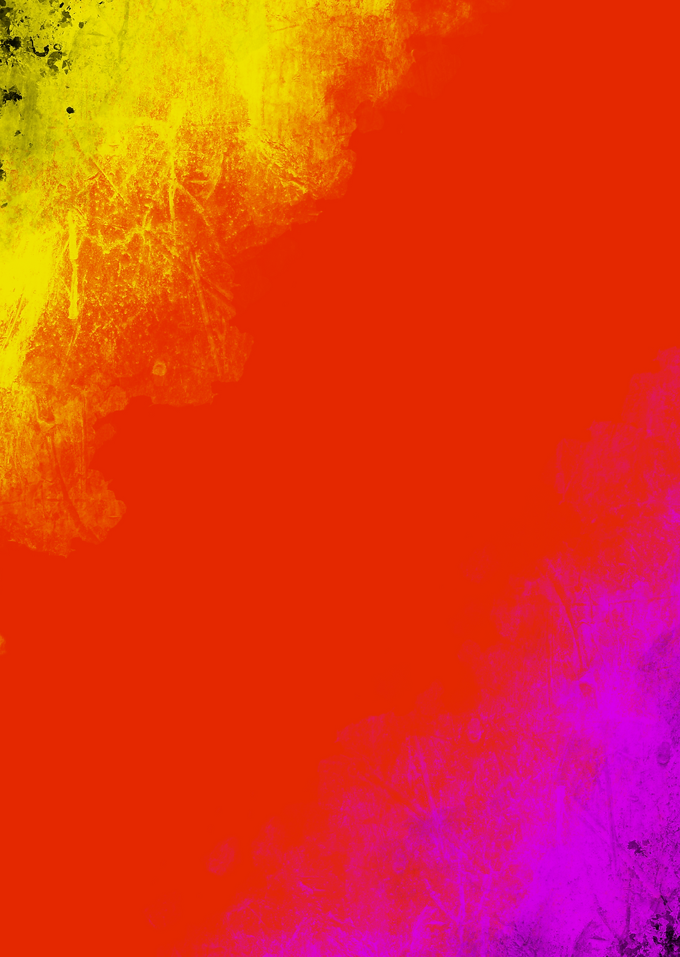 IMG_2607.PNG