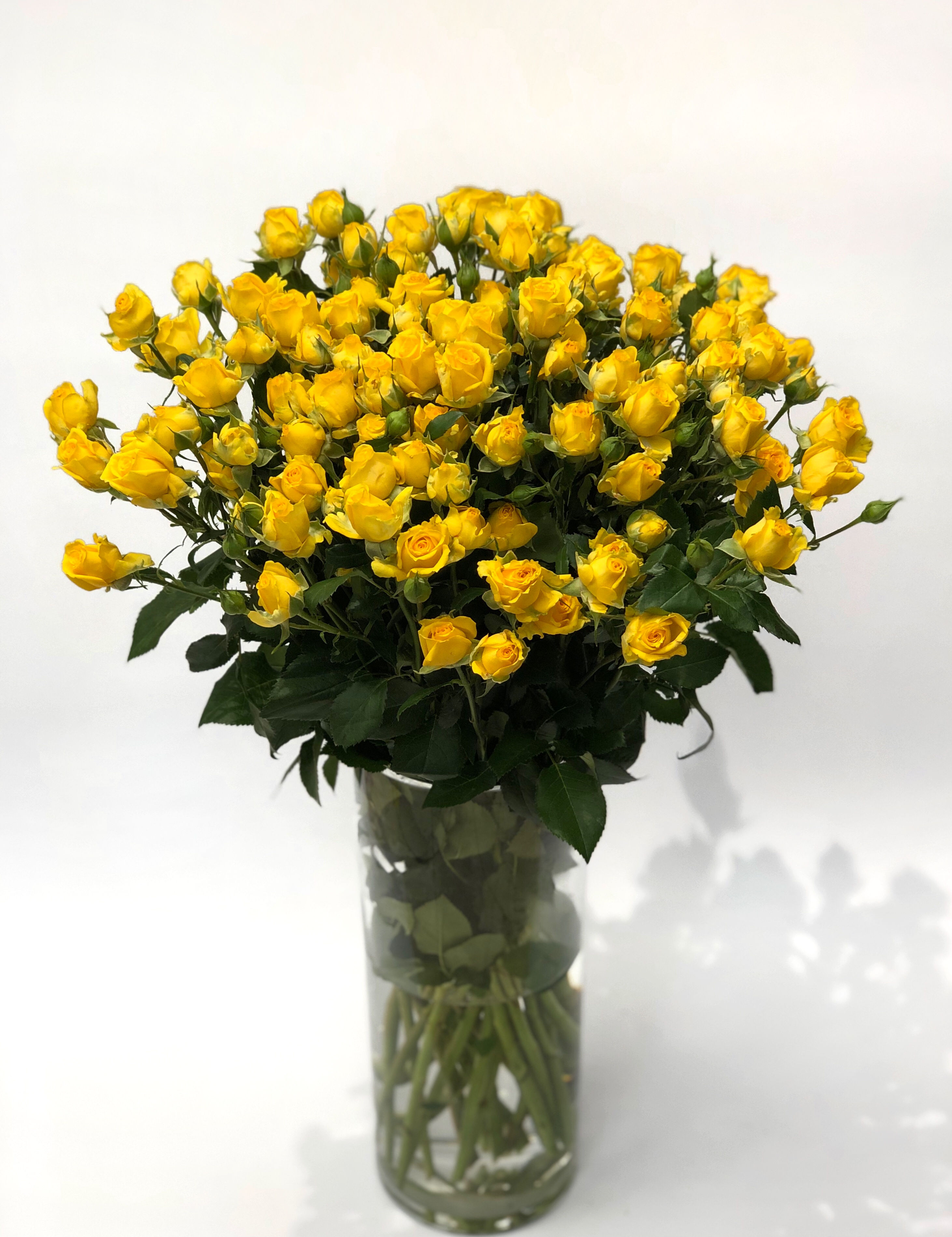 Smulkiažiedės rožės - 60 cm (mix)